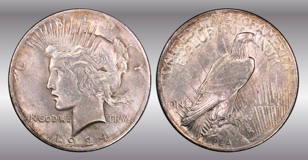 My-Raw-Peace-Dollar-Collection.-.-.-.-Warning!